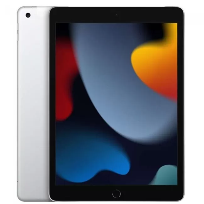 Apple iPad 9th Gen (256GB) Wifi Cellular [Like New]